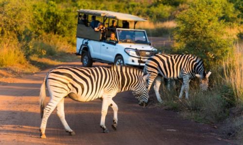 8 Reasons Why You Should Travel to South Africa